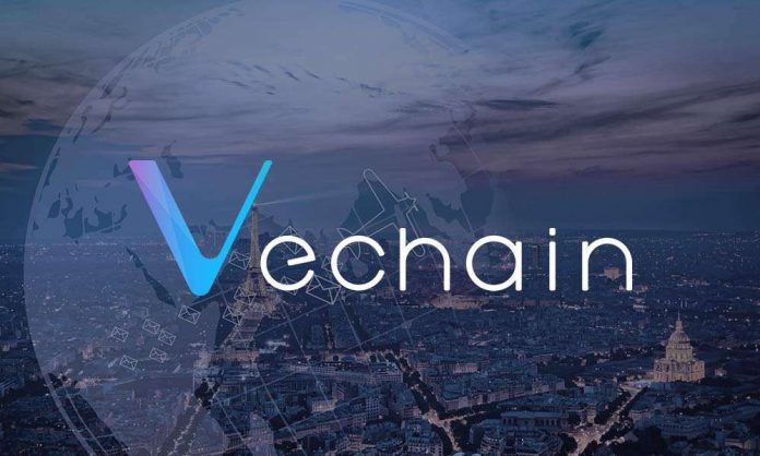 vechain blockchain