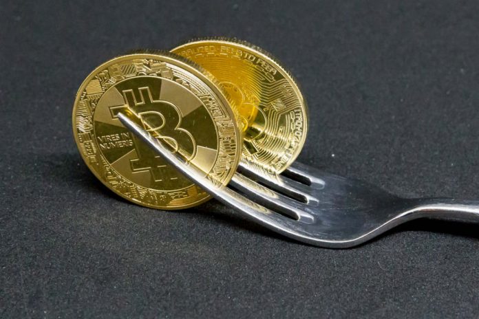 fork Bitcoin