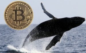 crypto whales