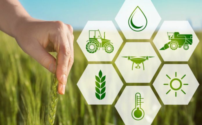 Agri-tech blockchain agricoltura