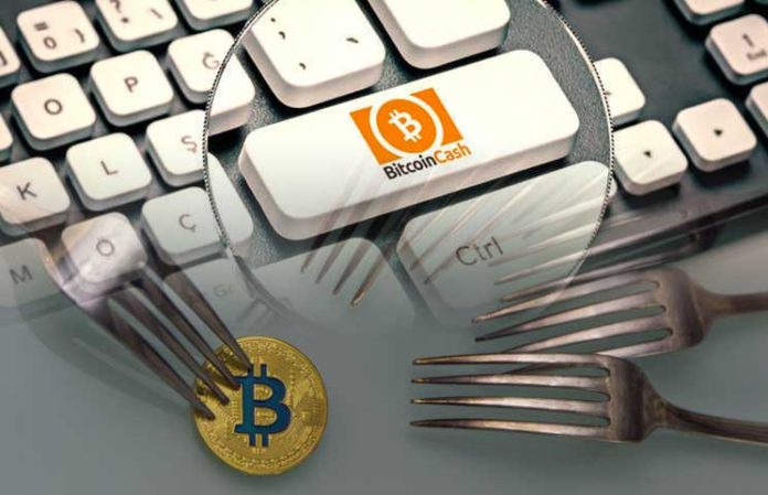 Bitcoin !   Cash Fork Has Been Completed And 2 Chains Are Born The - 