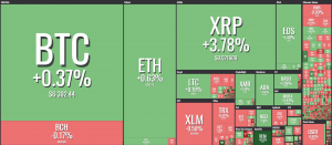 nem xem rise coincheck