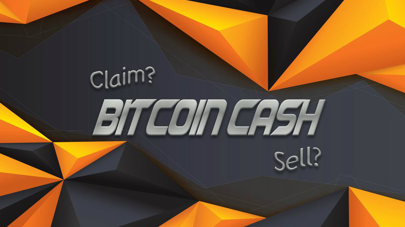 Kraken e il delisting di Bitcoin Cash SV