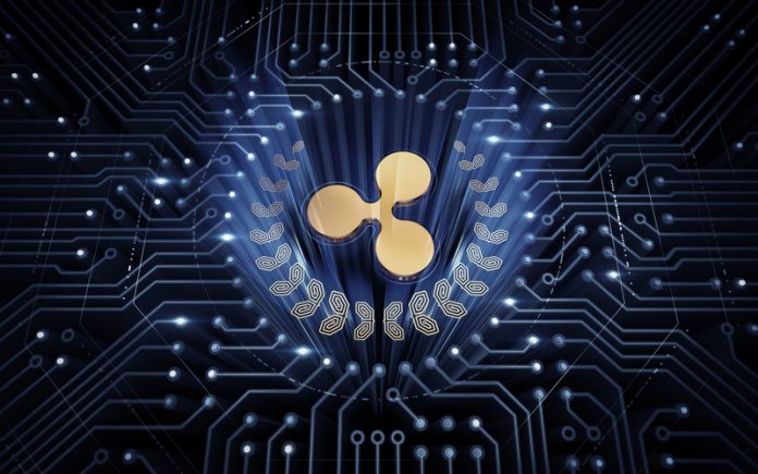 ripple and xrp