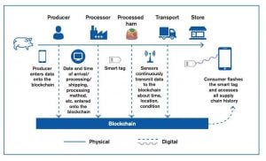 reasons failures blockchain projects