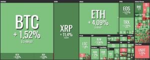 ripple xrp price rises