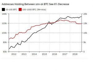 report diar bitcoin holders