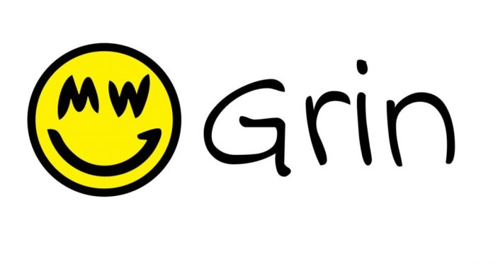 ICO Grin