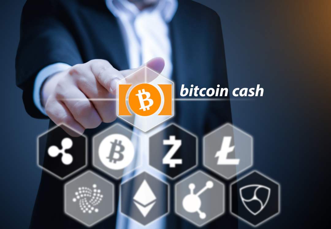 bitcoin cash active addresses dogecoin