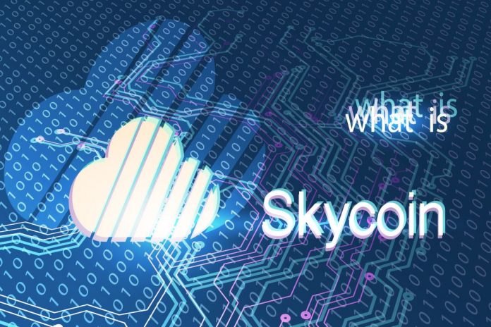 skycoin rete decentralizzata