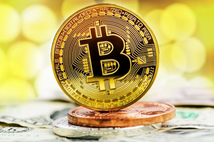 millionaire bitcoin transactions exchanges