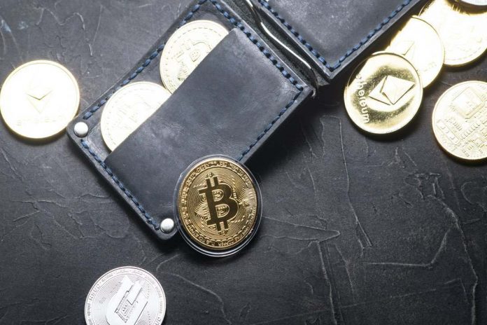 best crypto wallets ios