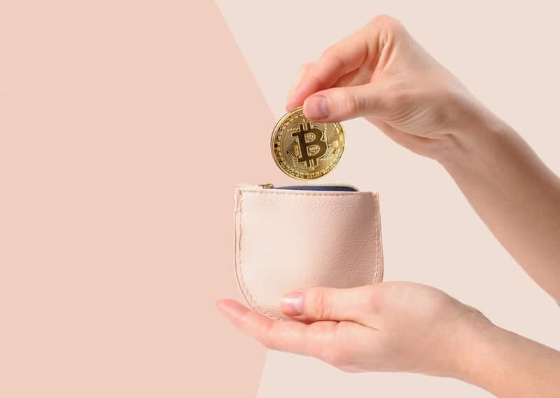 Dentro Bitcoin: i wallet. Guida parte 5B