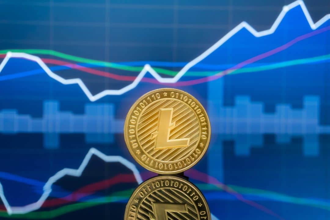 Litecoin: il valore oggi in perdita dopo un balzo del 40%