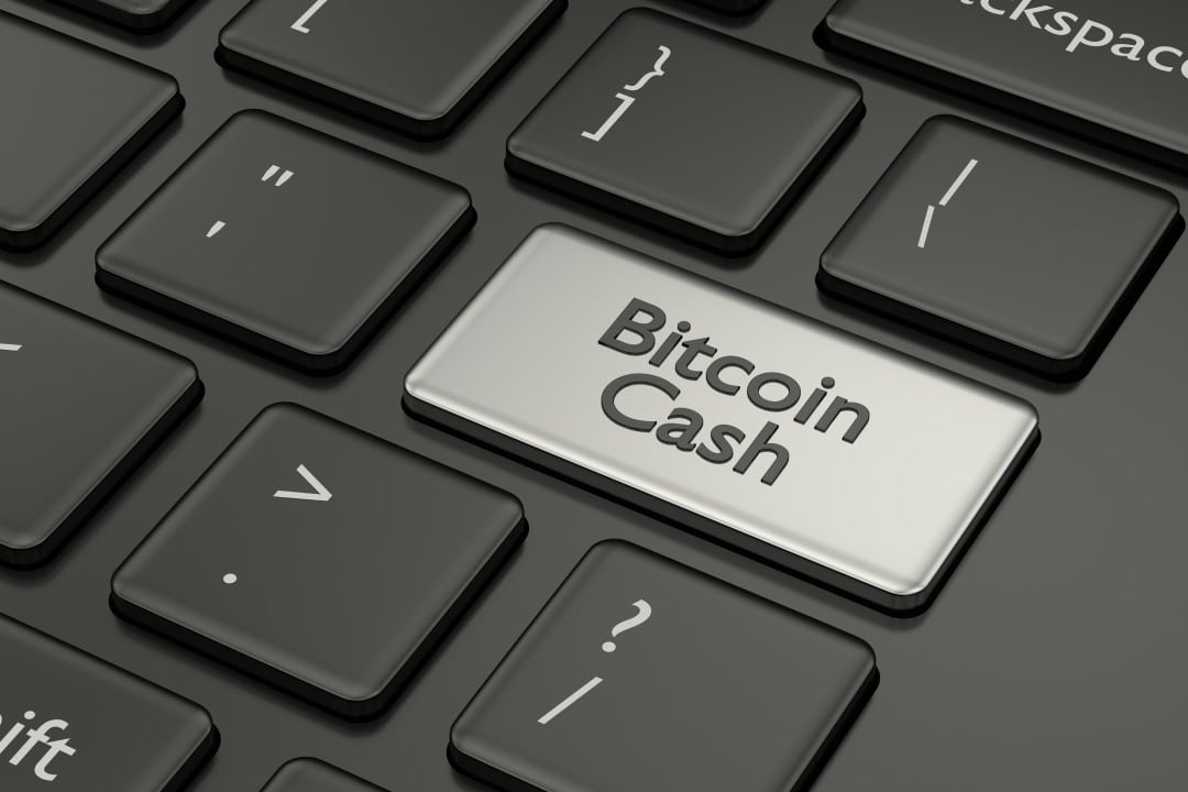 Gabriel Cardona: “Il futuro di BCH come sistema di pagamento”