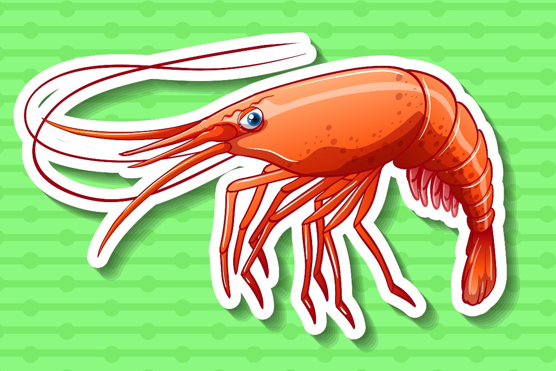 Cos’è il protocollo DeFi Shrimp Finance
