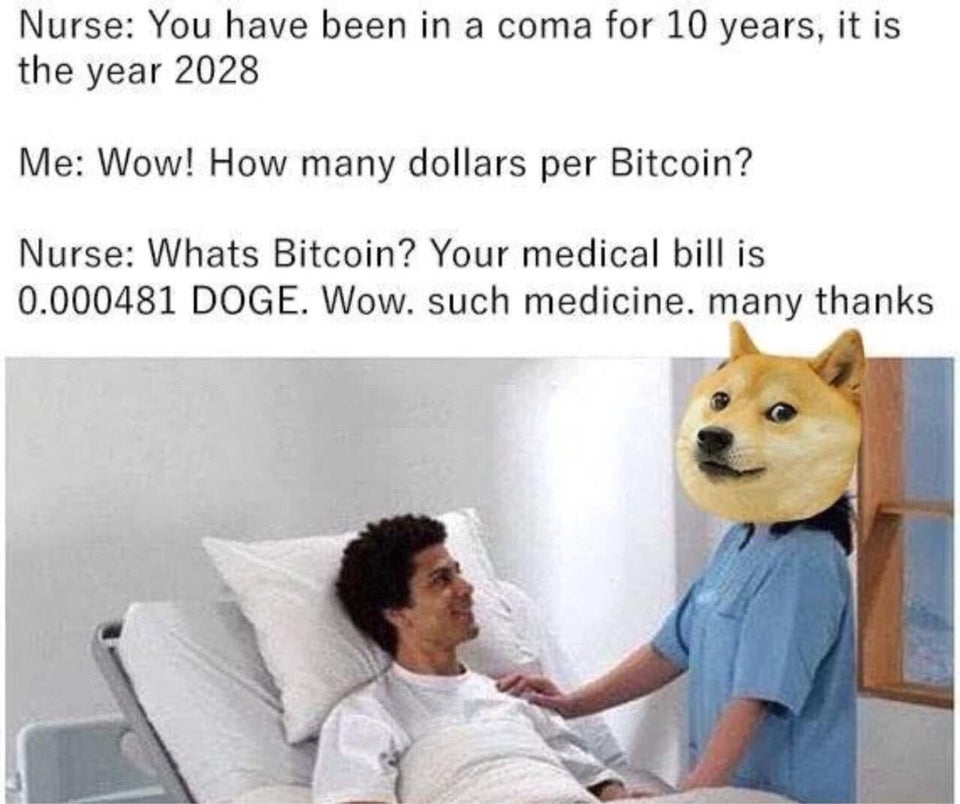Dogecoin: the top 10 memes of 2020 - Cryptheory
