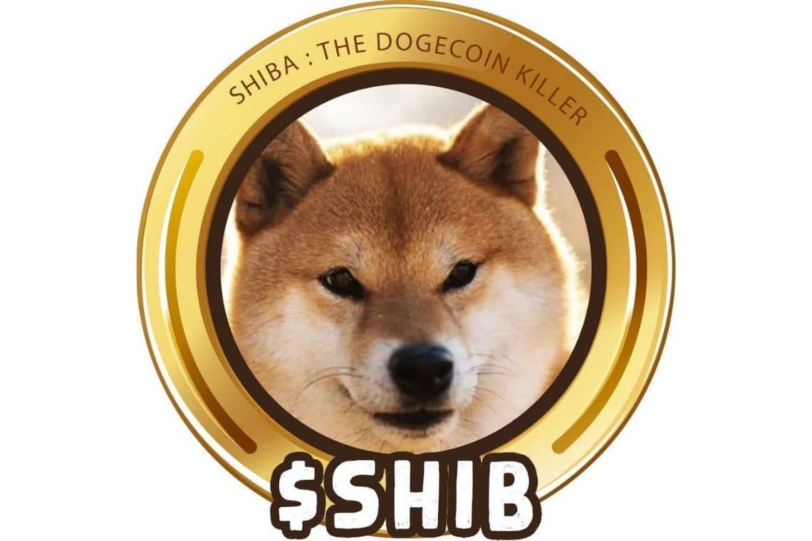 Shiba Inu su Coinbase Pro ed il prezzo vola