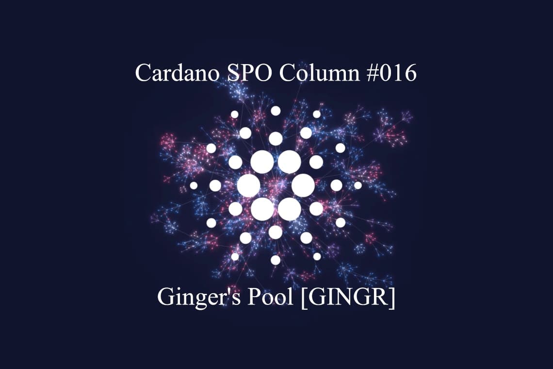 Cardano SPO : la piscine du gingembre [GINGR]