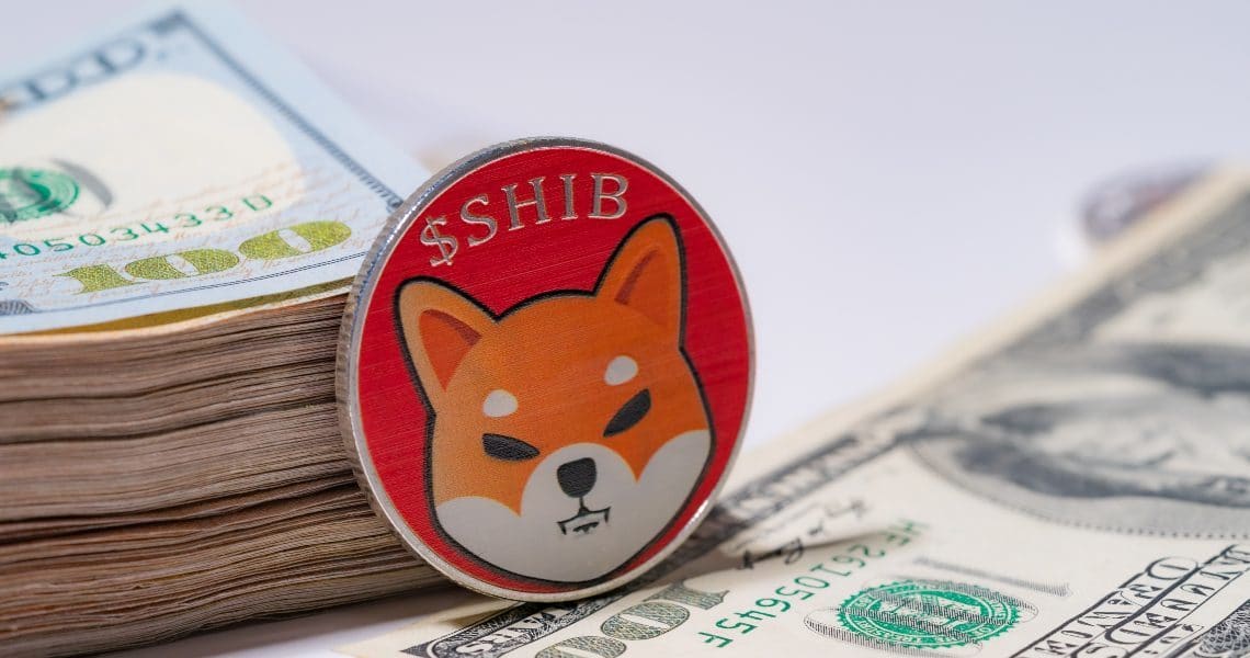 Boom dei wallet per Shiba Inu
