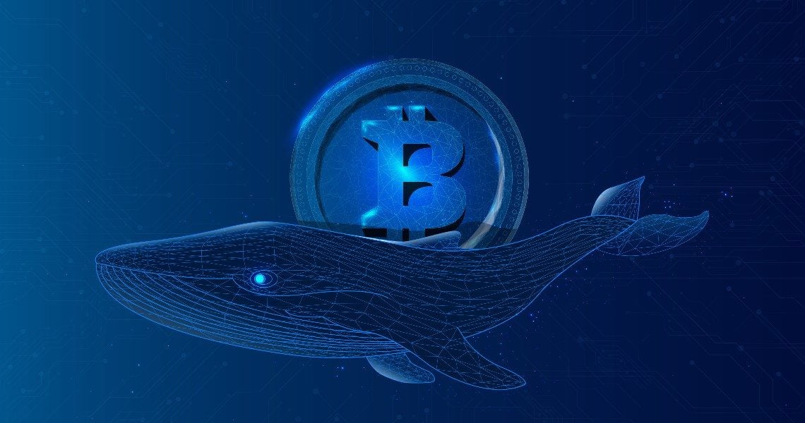 Le balene sosterranno il prezzo di Bitcoin nel 2022