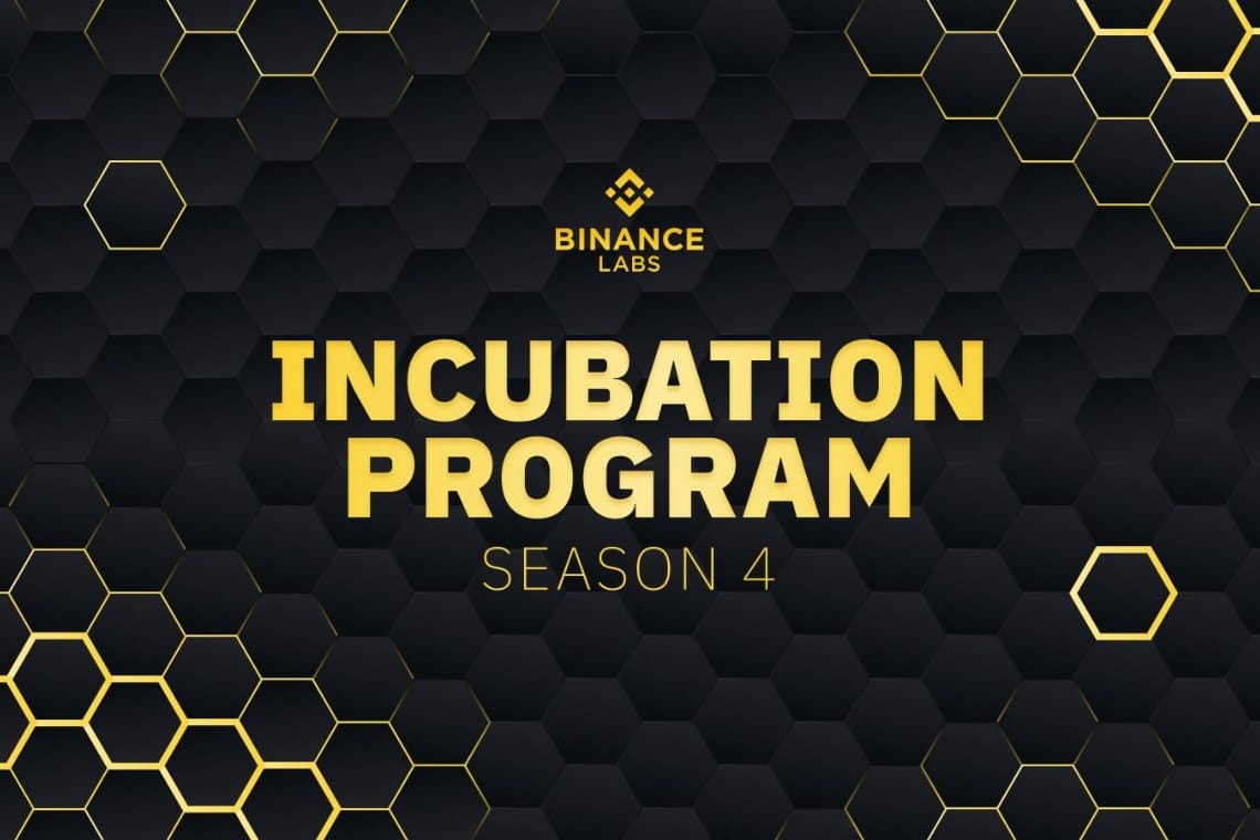Binance Labs Incubation Program