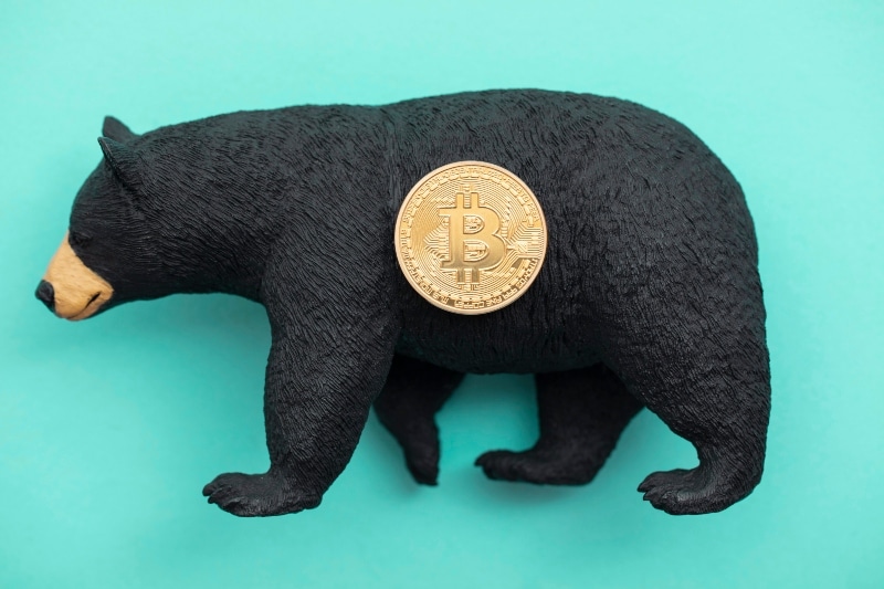 bitcoin crypto bear