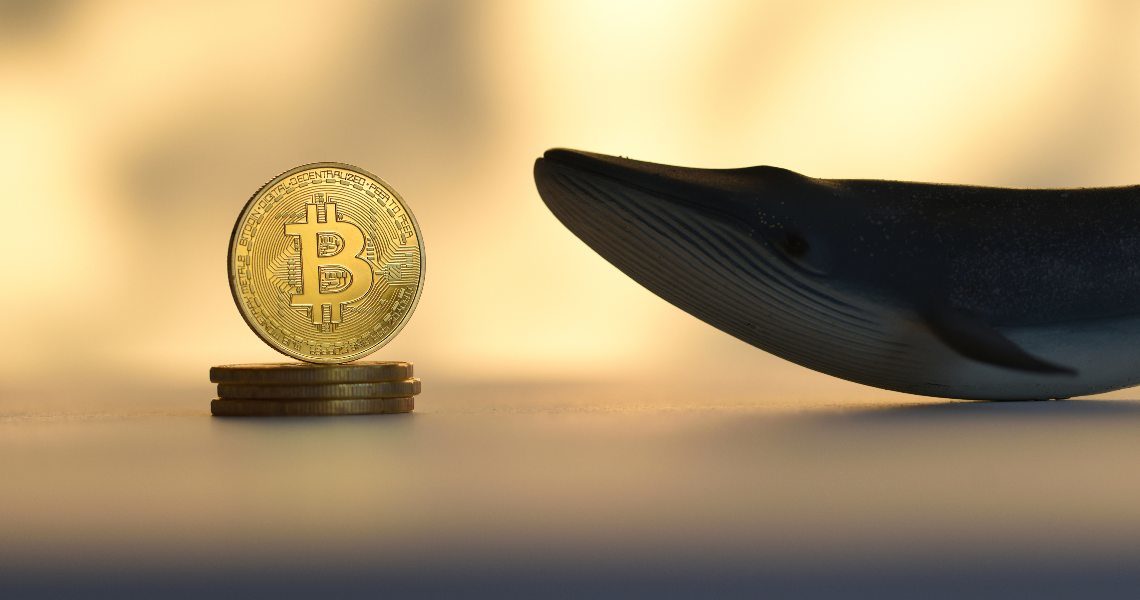 Whale Alert: 407 Bitcoin mossi dopo 8 anni di inattività