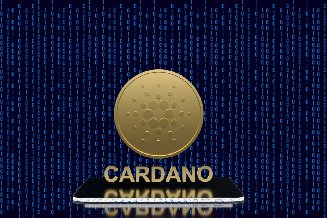 cardano kyc on-chain