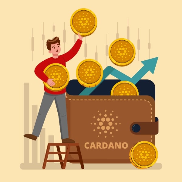 cardano wallet growth