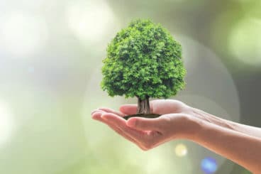 FCO: il Green Token che rivoluziona i Carbon Credits