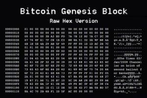 Bitcoin Genesis Block - Algoritmo di Consenso