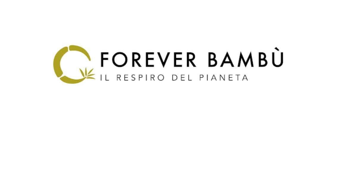 NFT per la sostenibilità ambientale: Forever Bambù certifica l’assorbimento di CO2 su blockchain