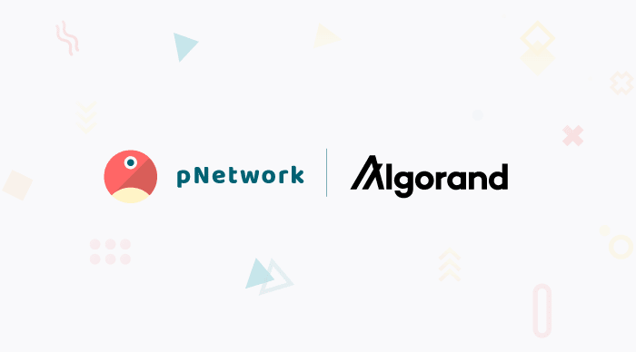 pNetwork y Algorand