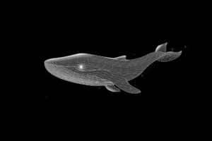 Una balena XRP trasferisce 20 trilioni di Shiba Inu