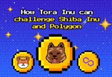 How Tora Inu can challenge ShibaInu and Polygon?