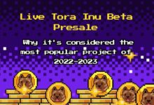 Live Tora Inu Beta Presale: Why it’s considered the most popular project of 2022–2023