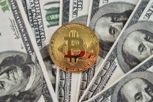 L’attesa è finita: Fidelity apre conti di trading per la crypto Bitcoin