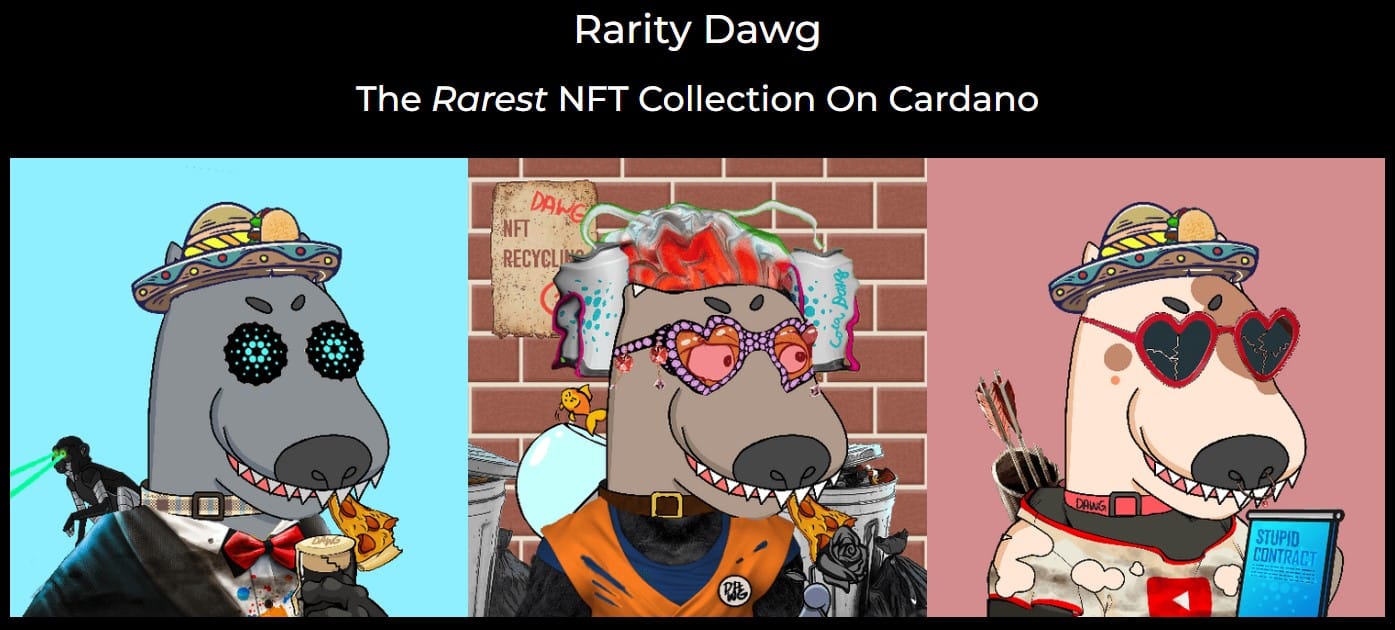 Cardano NFT The Art Bank