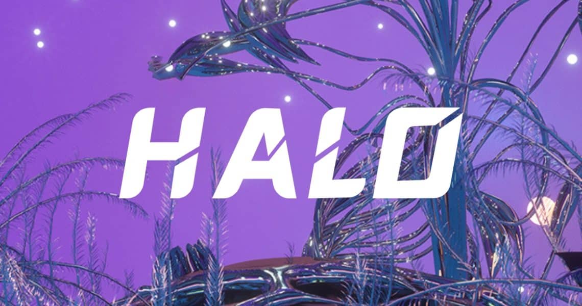 Boom per la Initial Coin Offering (ICO) di Halo