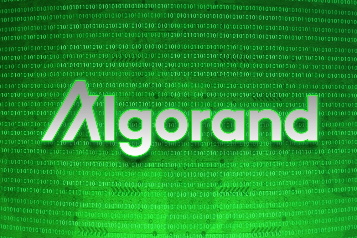 Algorand: the best crypto and NFT projects