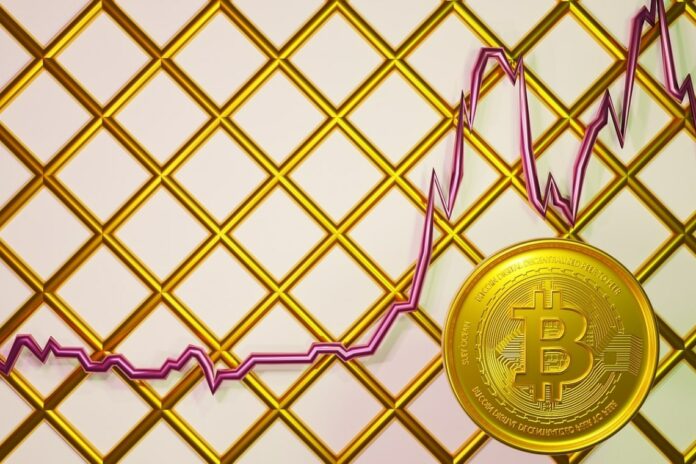 forecasting price bitcoin usd