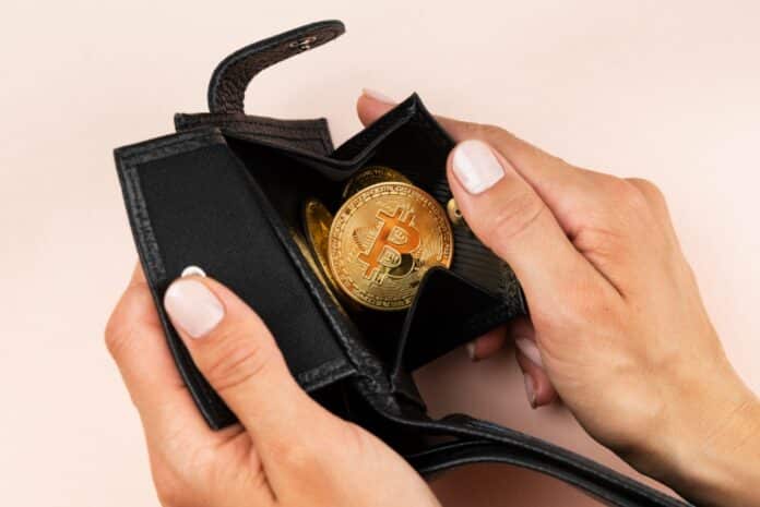 bitcoin wallet profitto