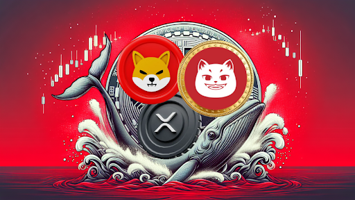 Shiba Inu e le balene XRP si muovono silenziosamente verso la valuta CATZILLA – sta arrivando un token che vale 1000 volte di più?