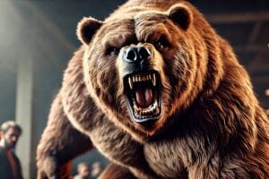 bear market crypto