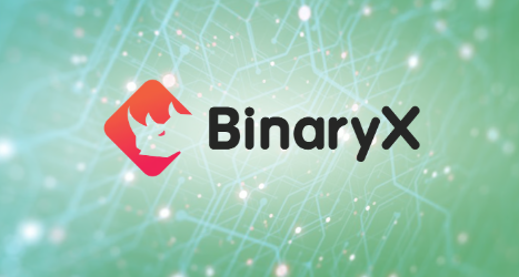 BinaryX esplode e cresce di circa il 30%, ma questa meme coin potrebbe fare meglio