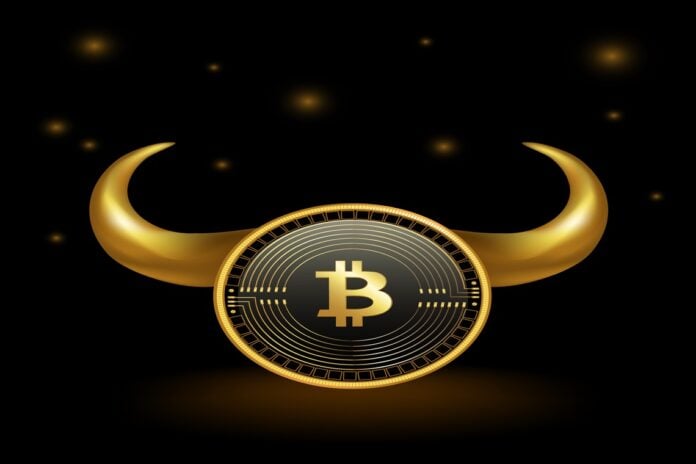 nuove criptovalute