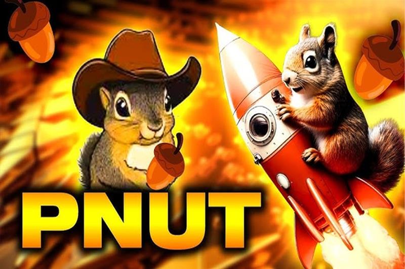 PNUT esplode: +160% in 7 giorni! Il rally è solo all’inizio?
