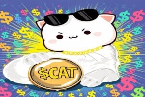 boom not cat