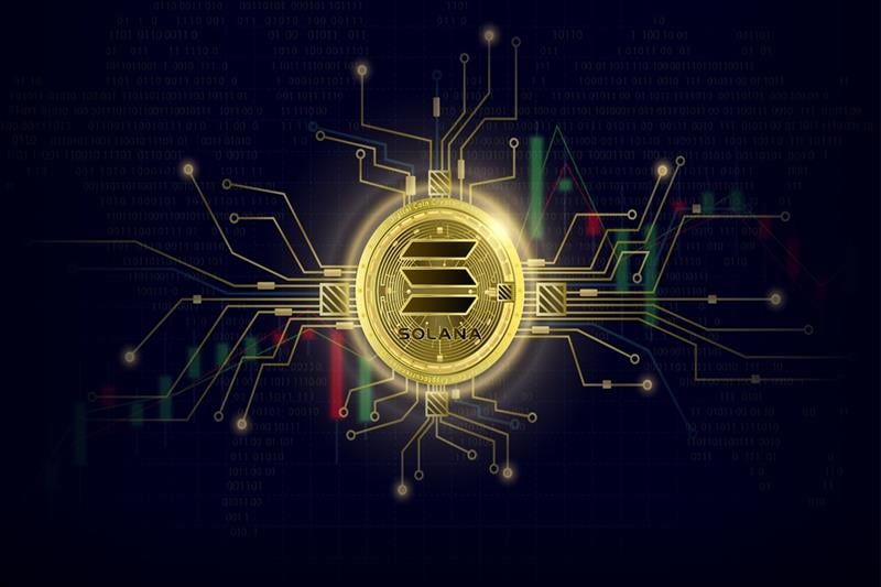 Solana: impennata della rete con 1,2 milioni di nuovi token SPL e boom delle meme coin